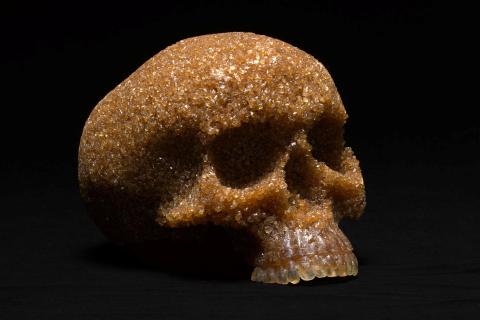A photograph of a skull made of brown sugar.