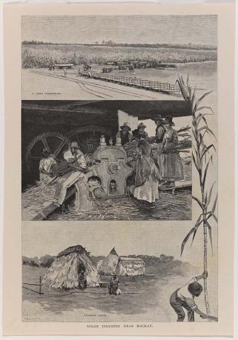 Artwork Sugar industry near Mackay (from 'Picturesque Atlas of Australasia, Vol. II ' 1886) this artwork made of Engraving on paper, created in 1881-01-01