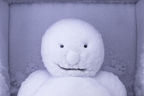 A close-up photograph of a frozen snowman installed in a display refrigerator in a gallery space.