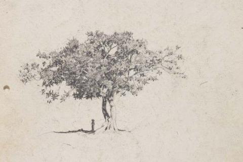 A detail view of a pencil sketch of a tree.