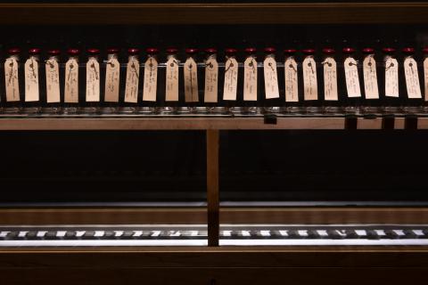 An installation view of a shelf with a row of small jars labelled with paper tags.