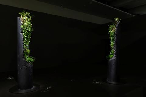 Two pillars with plants growing on them stand in a dark gallery space.