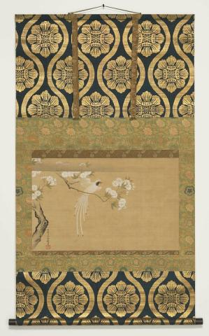 Artwork Cherry blossom and long tailed chicken this artwork made of Hanging scroll, ink and colour on silk 